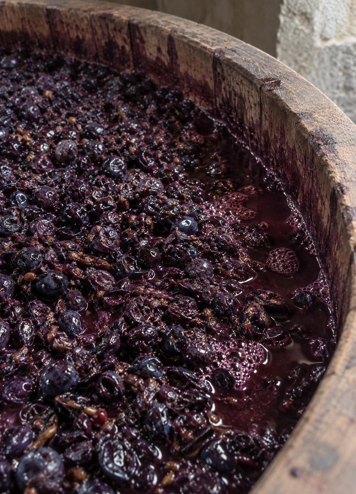 Skins and must in the vat