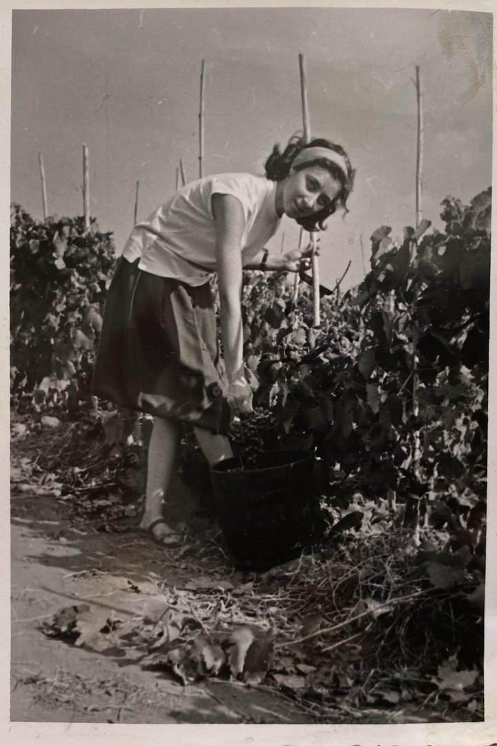 Family archive photograph in the vineyard
