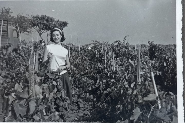 Family archive photograph among the vines