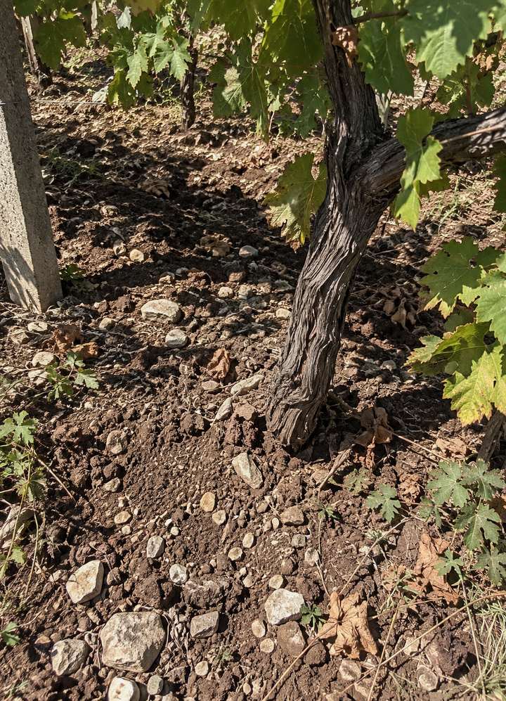 Red earth under the pergola